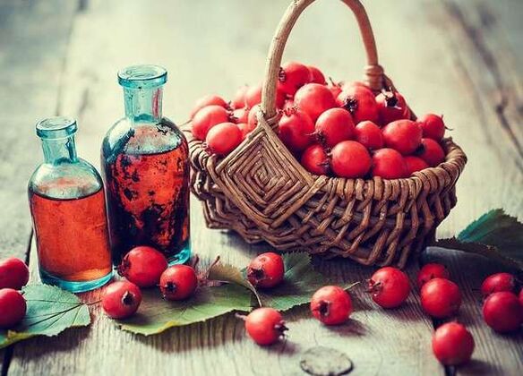 Maidan fruits to increase a member